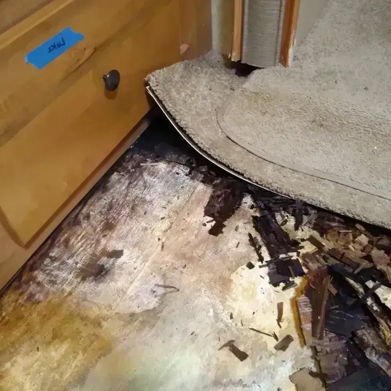 Best Wood Floor Water Damage Service in Oakwood, IL